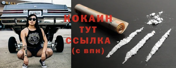 соль ск Арсеньев