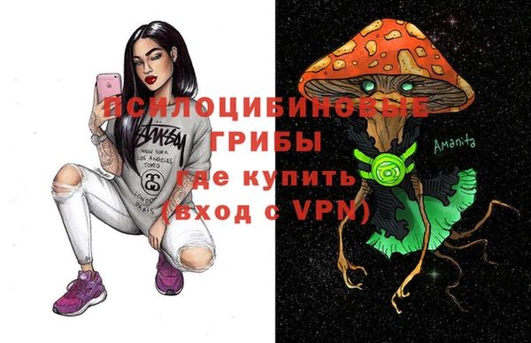 apvp Аркадак