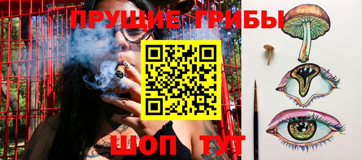 Ярославль  Псилоцибиновые грибы Cubensis  Вход с VPN 