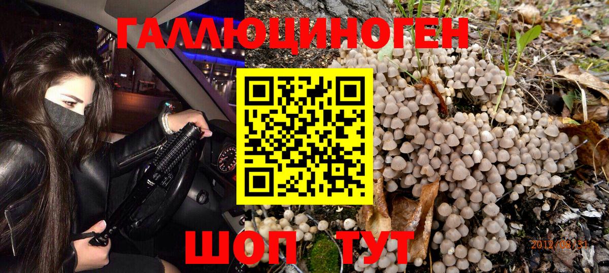 Псилоцибиновые грибы ЛСД Ярославль