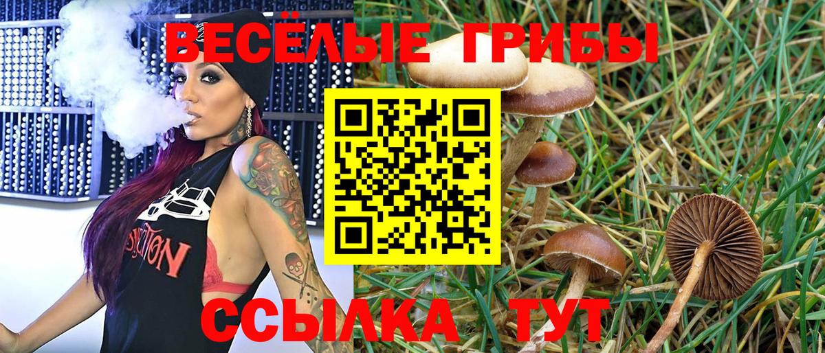 COCAIN  ЛЁД  Ярославль  Марки ЛСД  A PVP  Плюхи  Вход с VPN  Меф  Молли  Бошки Шишки 